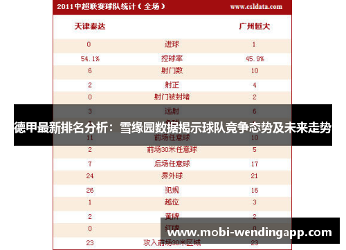 德甲最新排名分析：雪缘园数据揭示球队竞争态势及未来走势