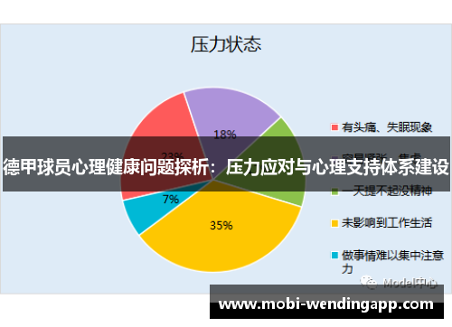 德甲球员心理健康问题探析：压力应对与心理支持体系建设