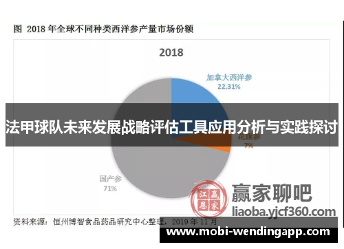 法甲球队未来发展战略评估工具应用分析与实践探讨