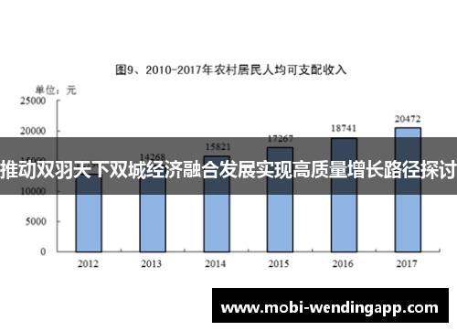 推动双羽天下双城经济融合发展实现高质量增长路径探讨
