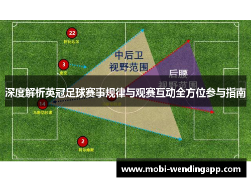 深度解析英冠足球赛事规律与观赛互动全方位参与指南