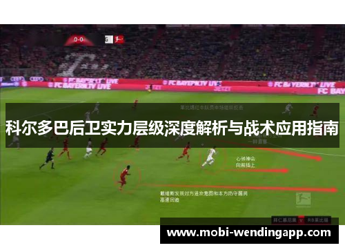 科尔多巴后卫实力层级深度解析与战术应用指南