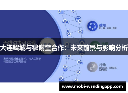 大连鲲城与穆谢奎合作：未来前景与影响分析