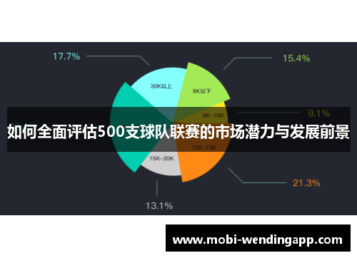 如何全面评估500支球队联赛的市场潜力与发展前景