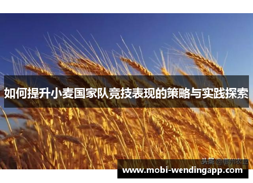 如何提升小麦国家队竞技表现的策略与实践探索