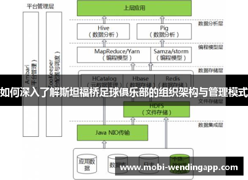 如何深入了解斯坦福桥足球俱乐部的组织架构与管理模式