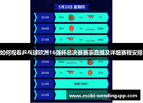 如何观看乒乓球欧洲16强杯总决赛赛事直播及详细赛程安排 如何观看乒乓球欧洲16强杯总决赛赛事直播及详细赛程安排