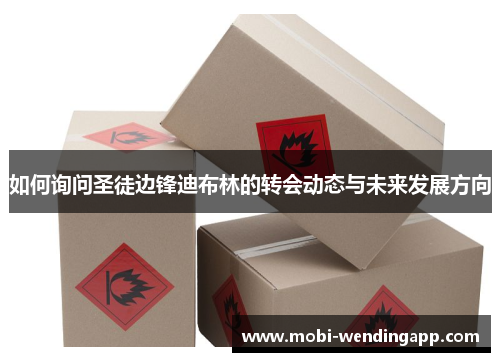 如何询问圣徒边锋迪布林的转会动态与未来发展方向 如何询问圣徒边锋迪布林的转会动态与未来发展方向