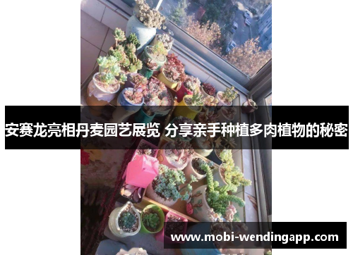 安赛龙亮相丹麦园艺展览 分享亲手种植多肉植物的秘密