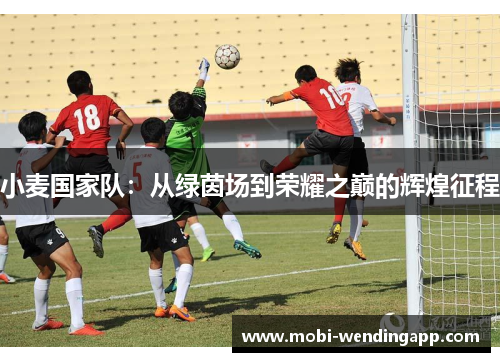小麦国家队:从绿茵场到荣耀之巅的辉煌征程 小麦国家队:从绿茵场到荣耀之巅的辉煌征程