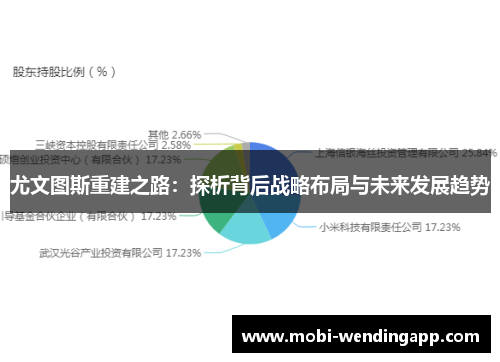 尤文图斯重建之路:探析背后战略布局与未来发展趋势 尤文图斯重建之路:探析背后战略布局与未来发展趋势